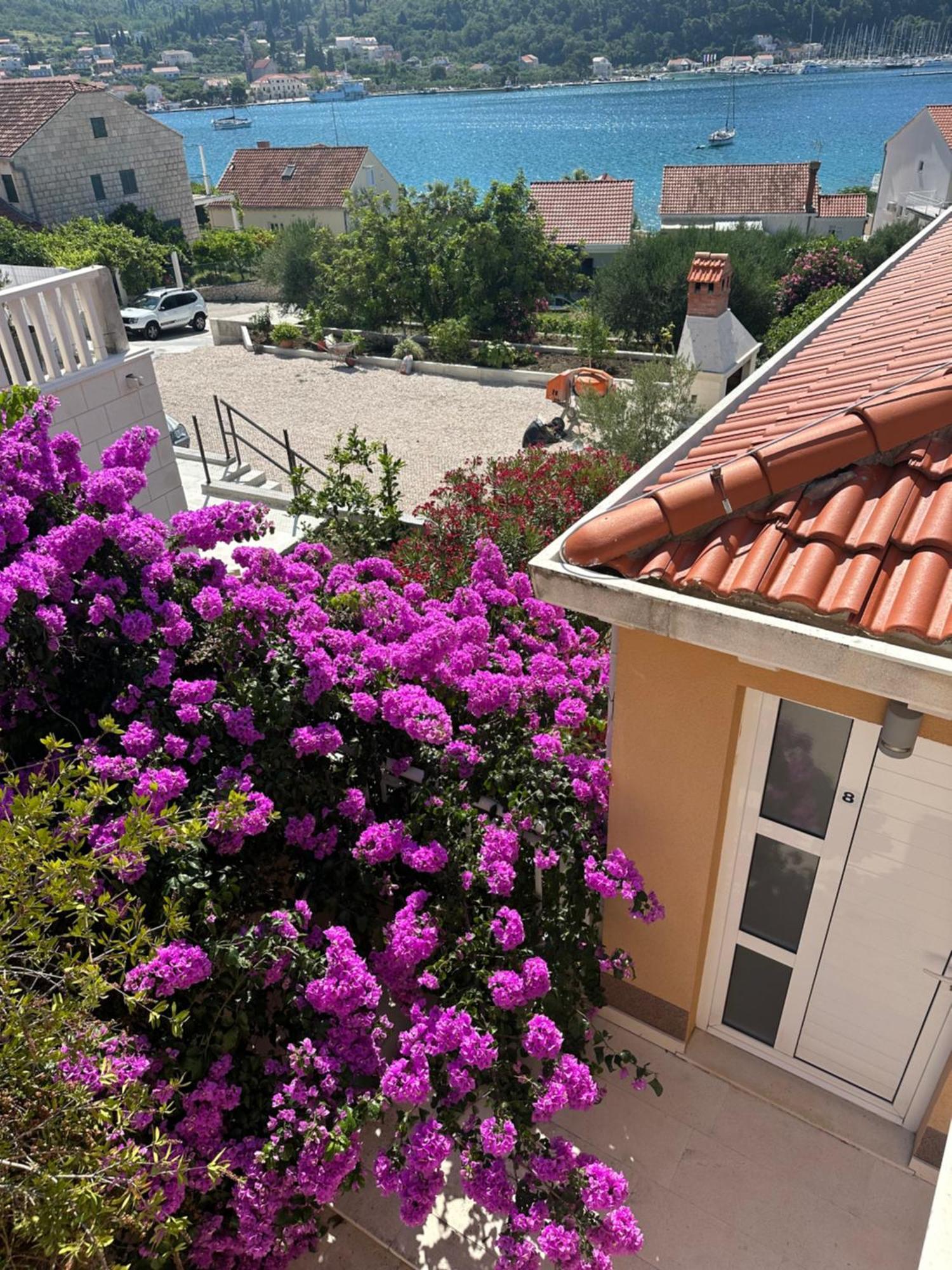 Apartments Villa Eva Slano Εξωτερικό φωτογραφία